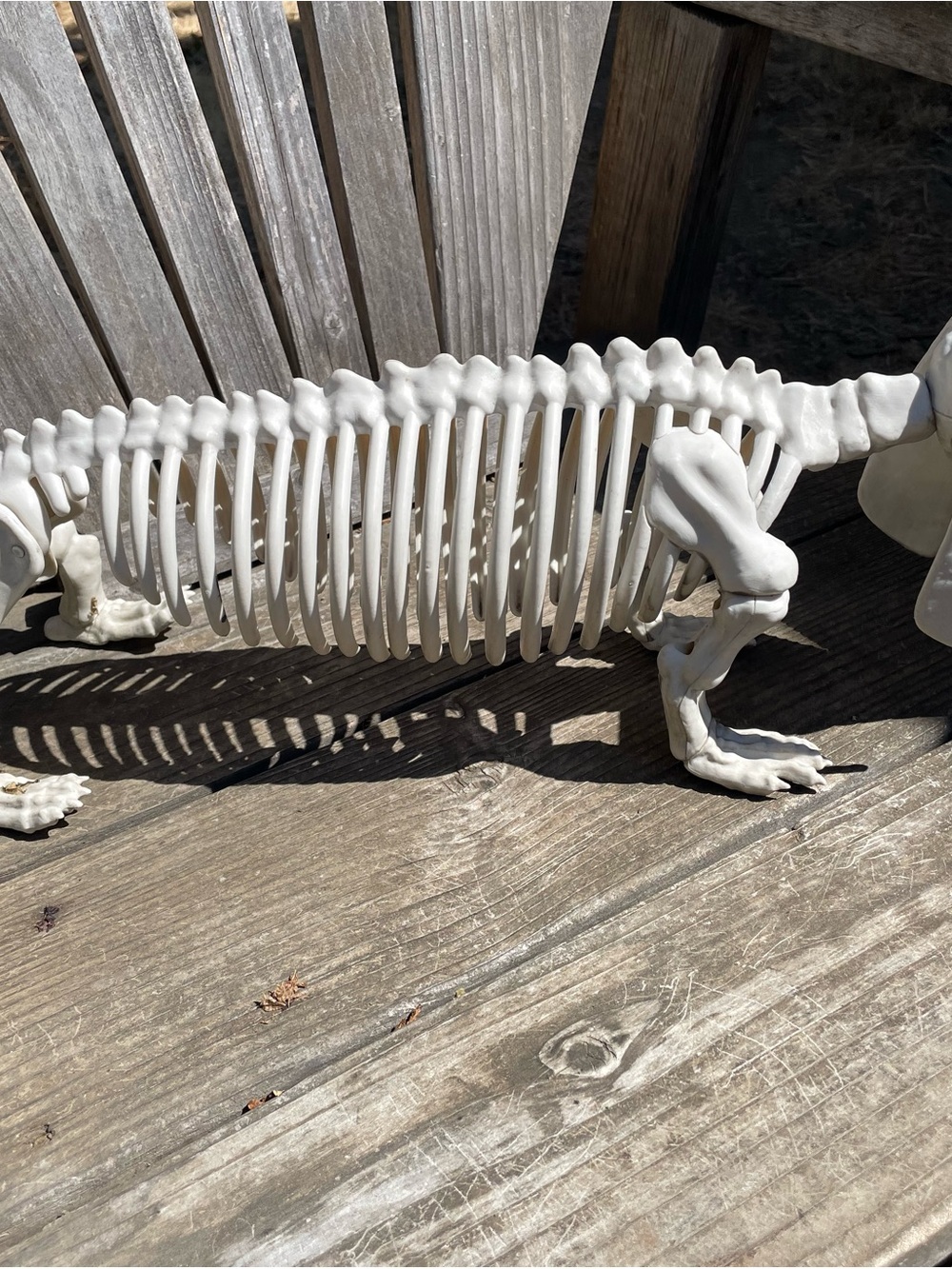 DACHSHUND SKELETON HALLOWEEN DECOR